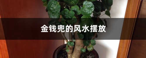 金钱兜的风水摆放